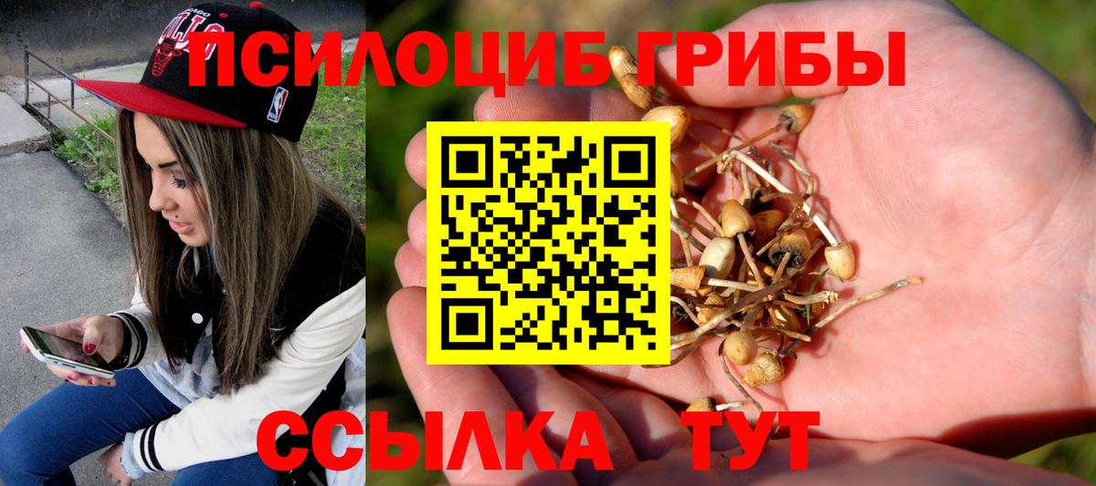 Галлюциногенные грибы GOLDEN TEACHER  Галлюциногенные грибы мухоморы  Вход с VPN  Подольск 
