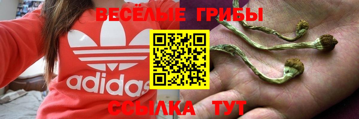 Галлюциногенные грибы MAGIC MUSHROOMS Подольск